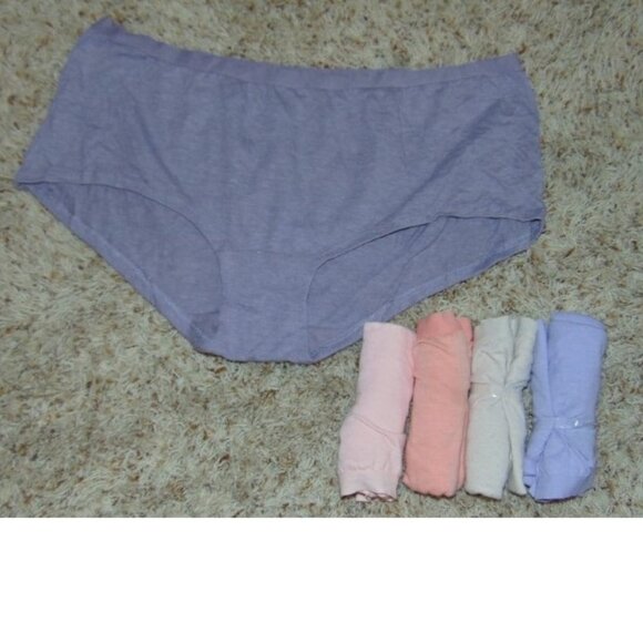 Womens Panties Underwear 5 Pair Pastel Colors Fruit of the Loom-size 8 - Picture 1 of 2